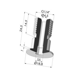 Parafuso G1/4" - diâmetro da cabeça 19 mm - comprimento 24,5 mm
